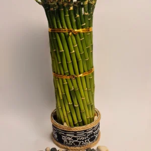Lucky Bamboo Type Ring