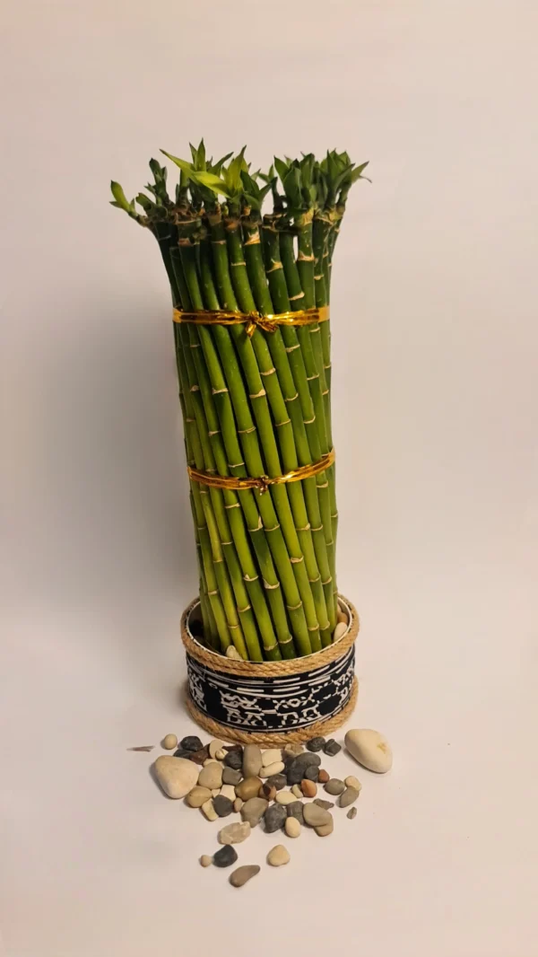 Lucky Bamboo Type Ring